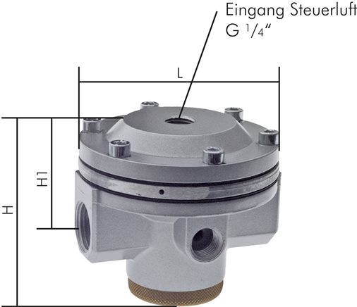 Exemplarische Darstellung: Druckregler, ferngesteuert (Volumenbooster) - Standard